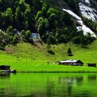 vom Obersee  