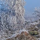 VOM ODEM GOTTES KOMMT FROST