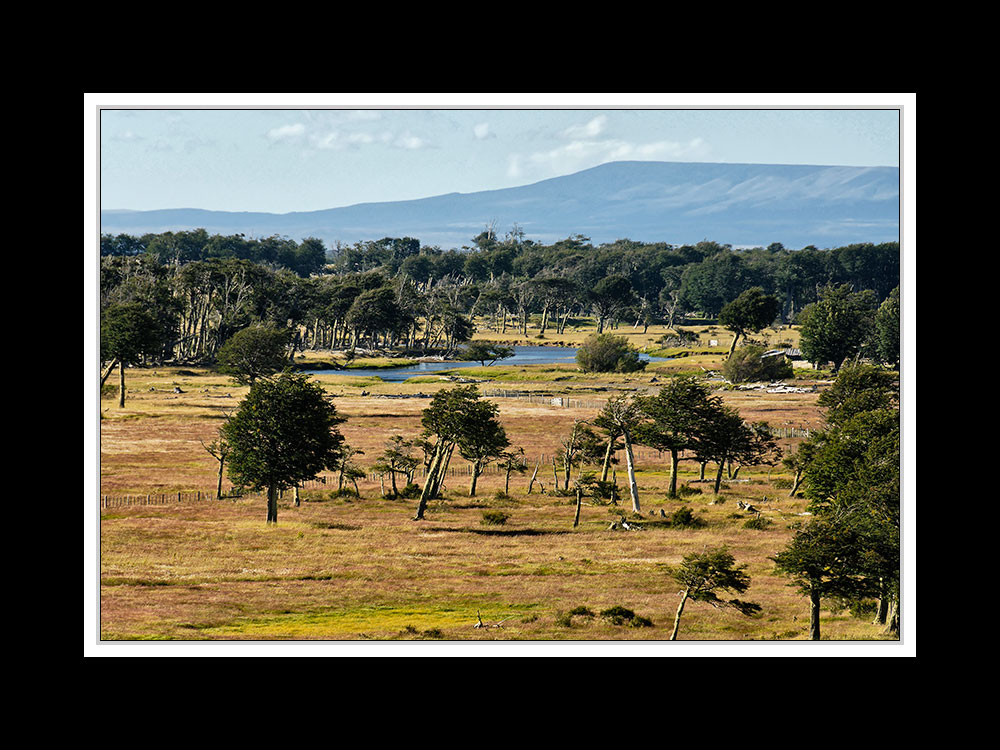 Vom Paine-Nationalpark nach Feuerland 07