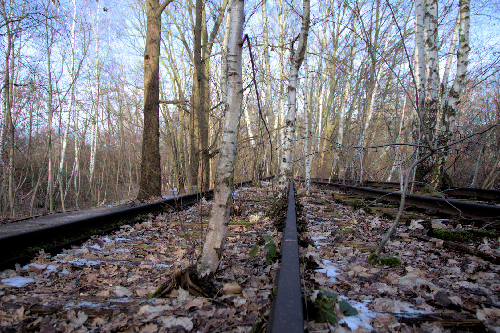 Vom Rangierbahnareal / Werkstätten /  zum Naturpark