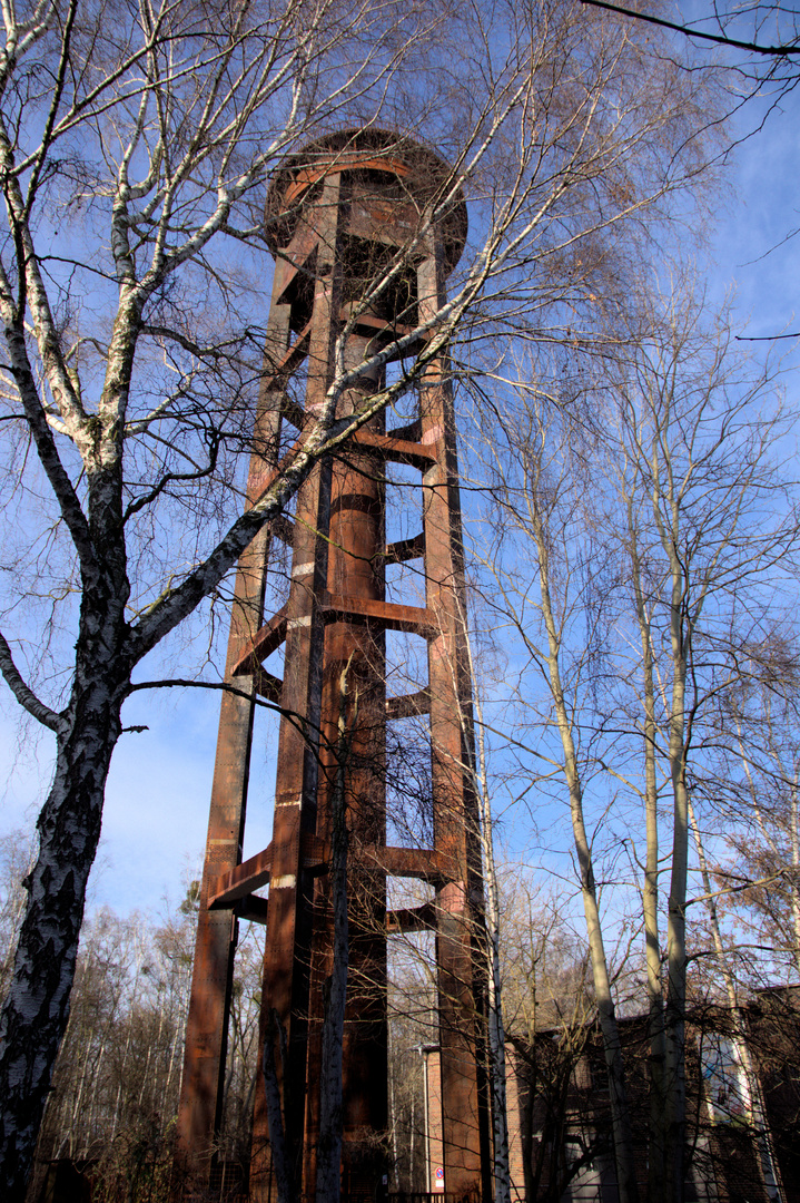 Vom Rangierbahnareal / Werkstätten /  zum Naturpark