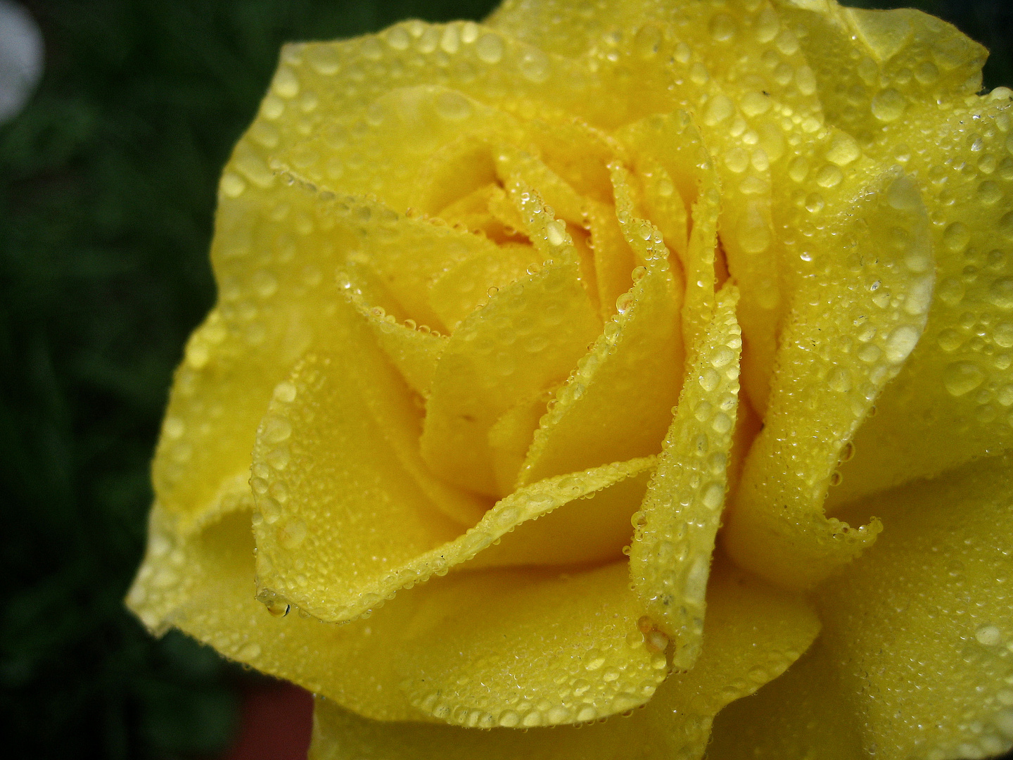 Vom Regen in die Traufe