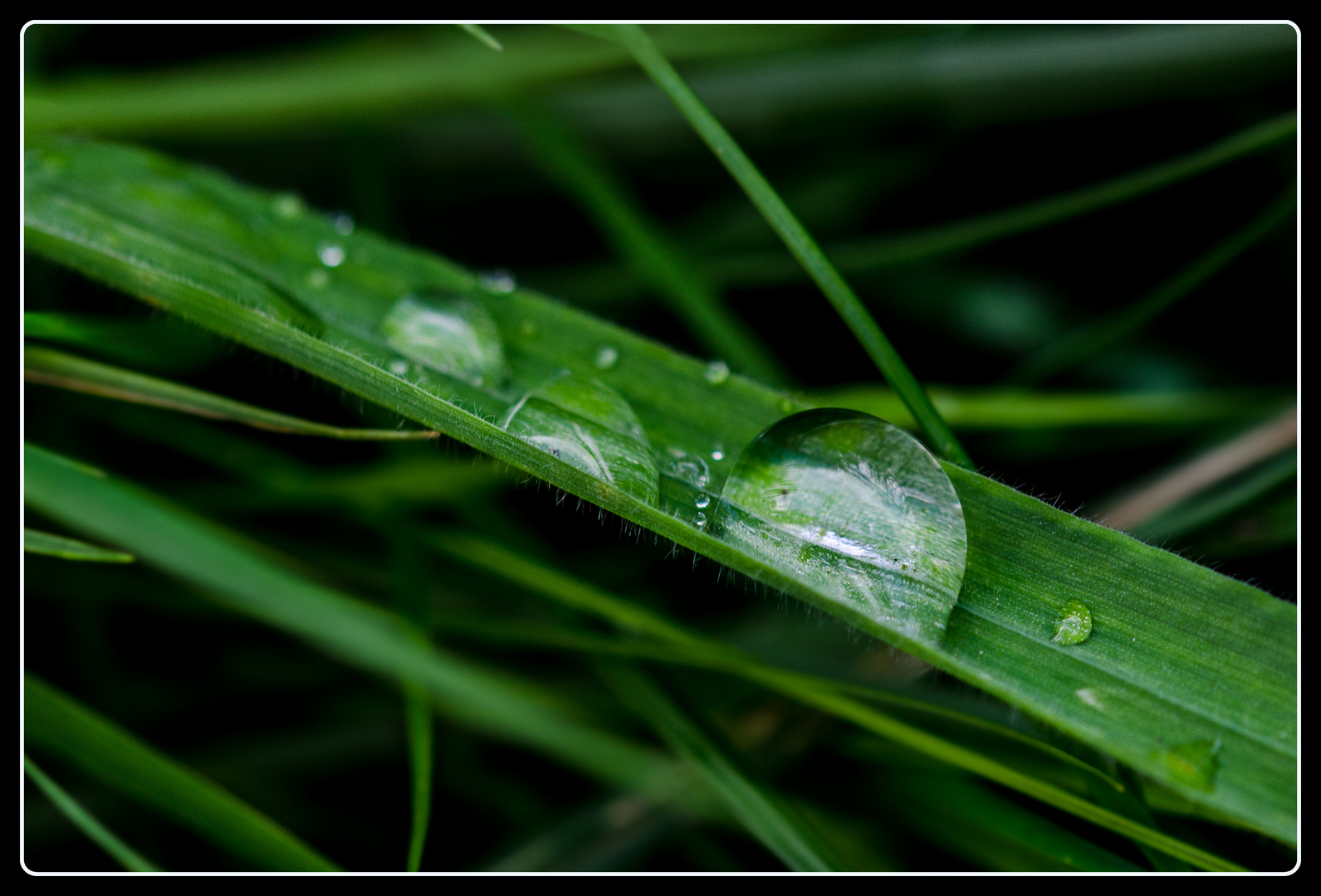 Vom Regen, Rege, Regen und Regen