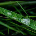 Vom Regen, Rege, Regen und Regen