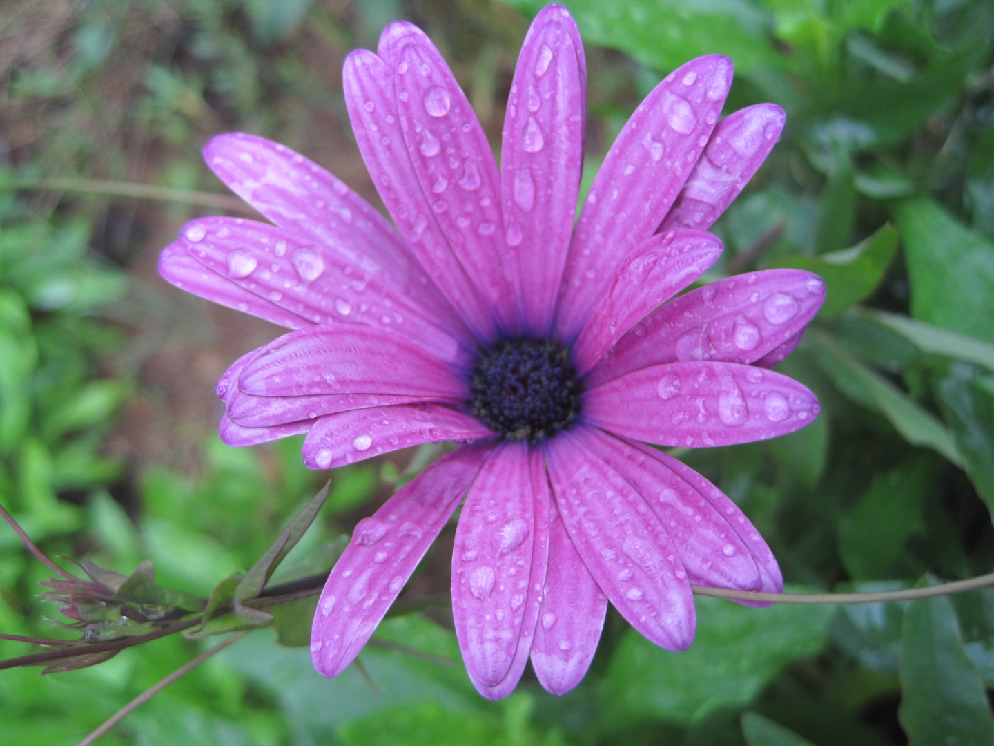 vom Regen überrascht