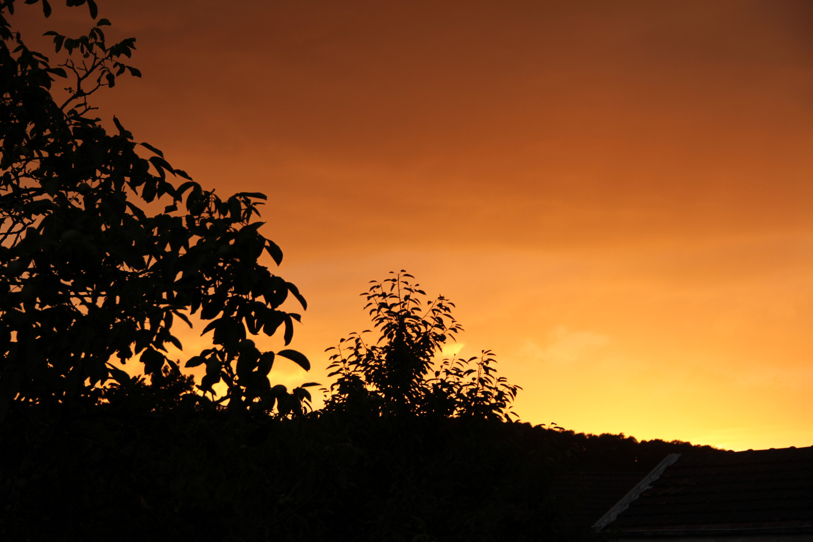 Vom Regen zur Sonne ...