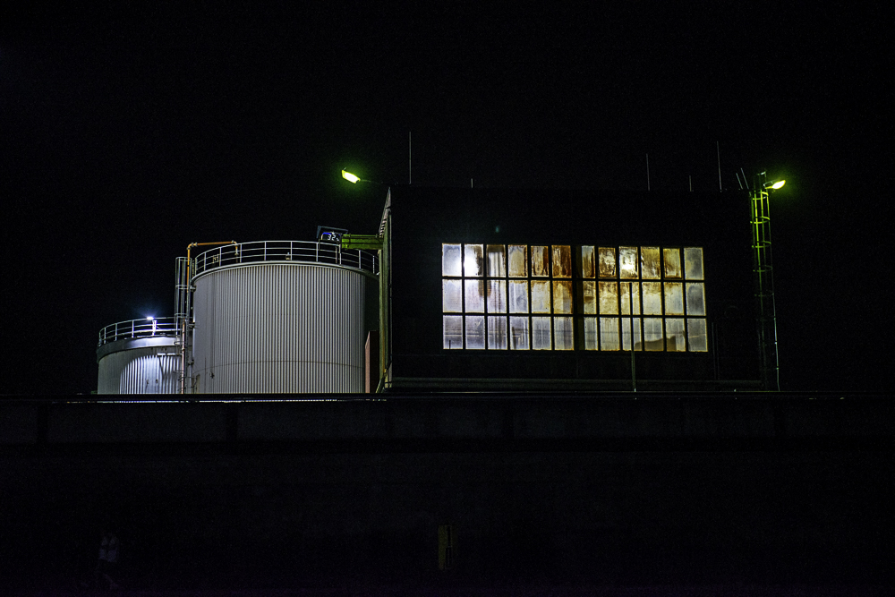 vom Rhein aus gesehen