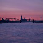 Vom Rhein aus, Panorama im Sonnenuntergang