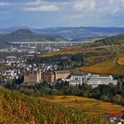 ... vom Rotwein-Wanderweg