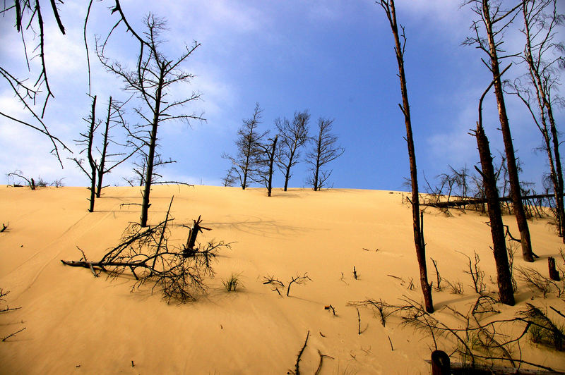 Vom Sand verschluckt