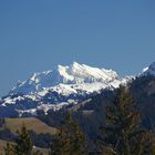 Vom Sattelpass richtung Säntis