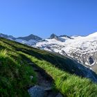 vom satten Grün zum Gletscher