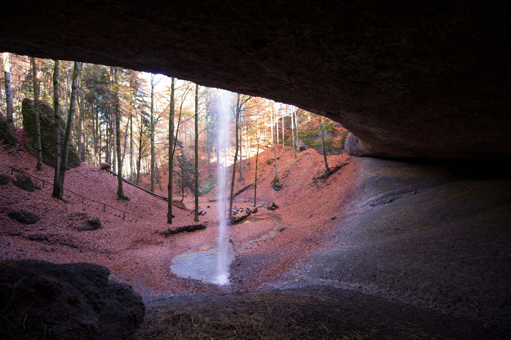 vom Schatten ins Licht Foto & Bild natur Bilder auf