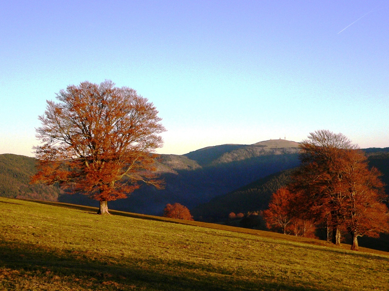 vom Schauinsland Richtung Feldberg, heute