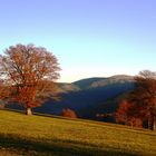 vom Schauinsland Richtung Feldberg, heute