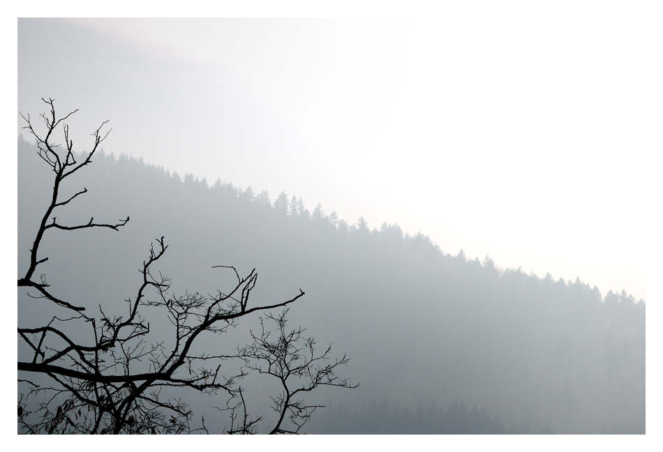 Vom Schlossberg...