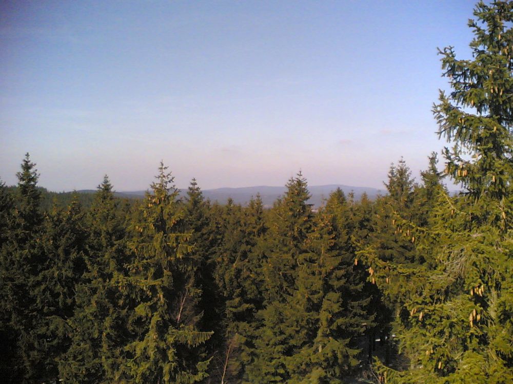 Vom Schneckenstein aus über den Wald