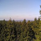 Vom Schneckenstein aus über den Wald