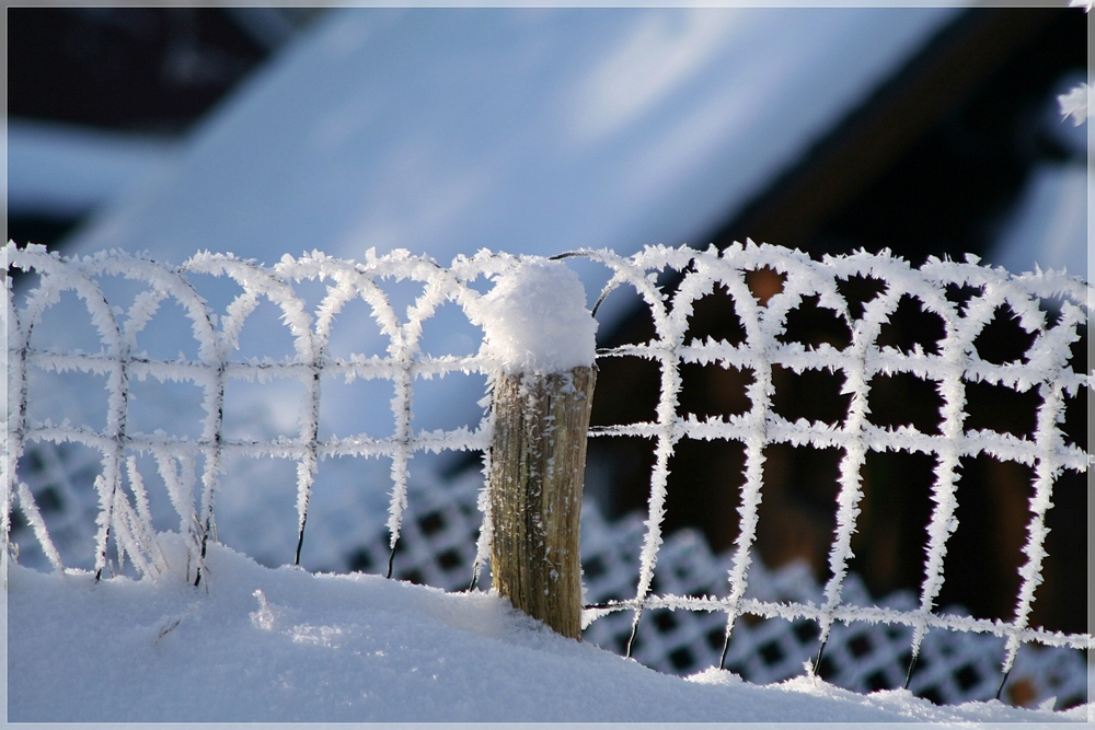 Vom Schnee bedeckt ...