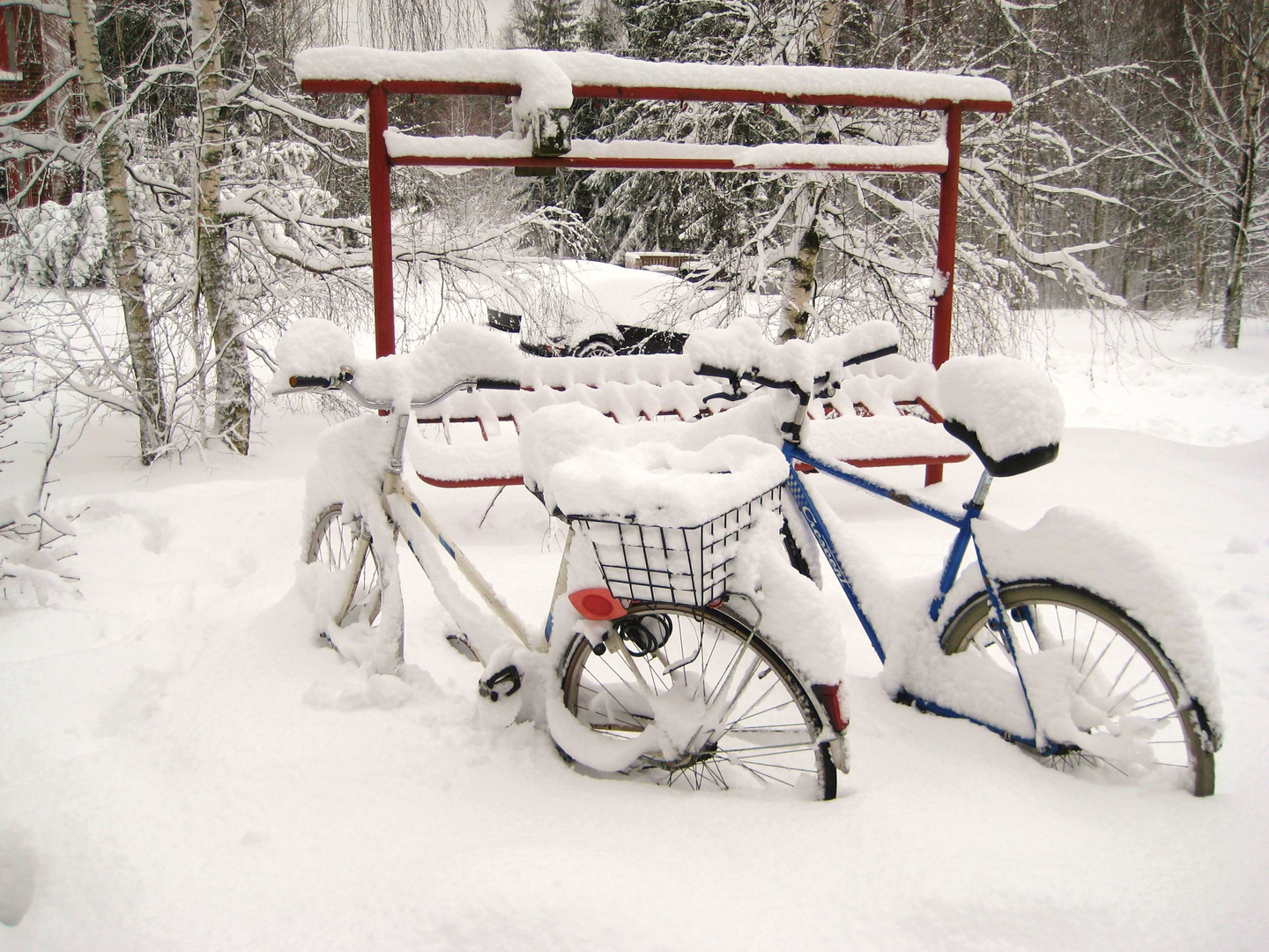 Schneeketten Auf Einem Fahrrad Von Der Seite Aus Stockfoto - Bild