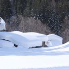 Vom Schnee erdrückt