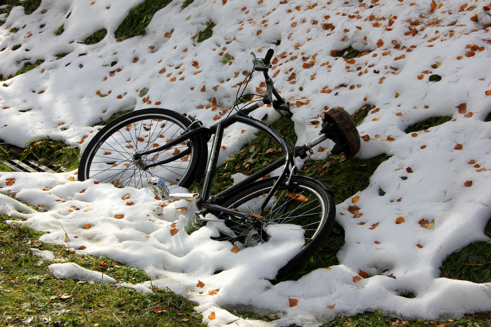 vom Schnee überrascht ????