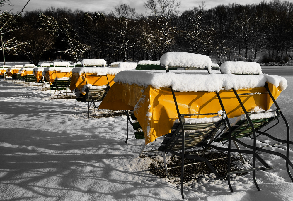 vom Schnee überrascht... von FotoFukS 