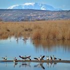 vom Schneeberg bis zum Neusiedler See