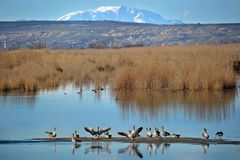 vom Schneeberg bis zum Neusiedler See