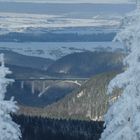 Vom Schneekopf geschossen...