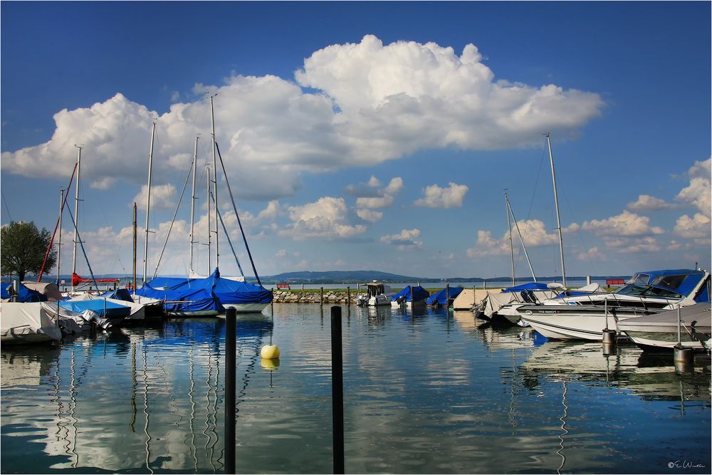 VOM SCHÖNEN BODENSEE