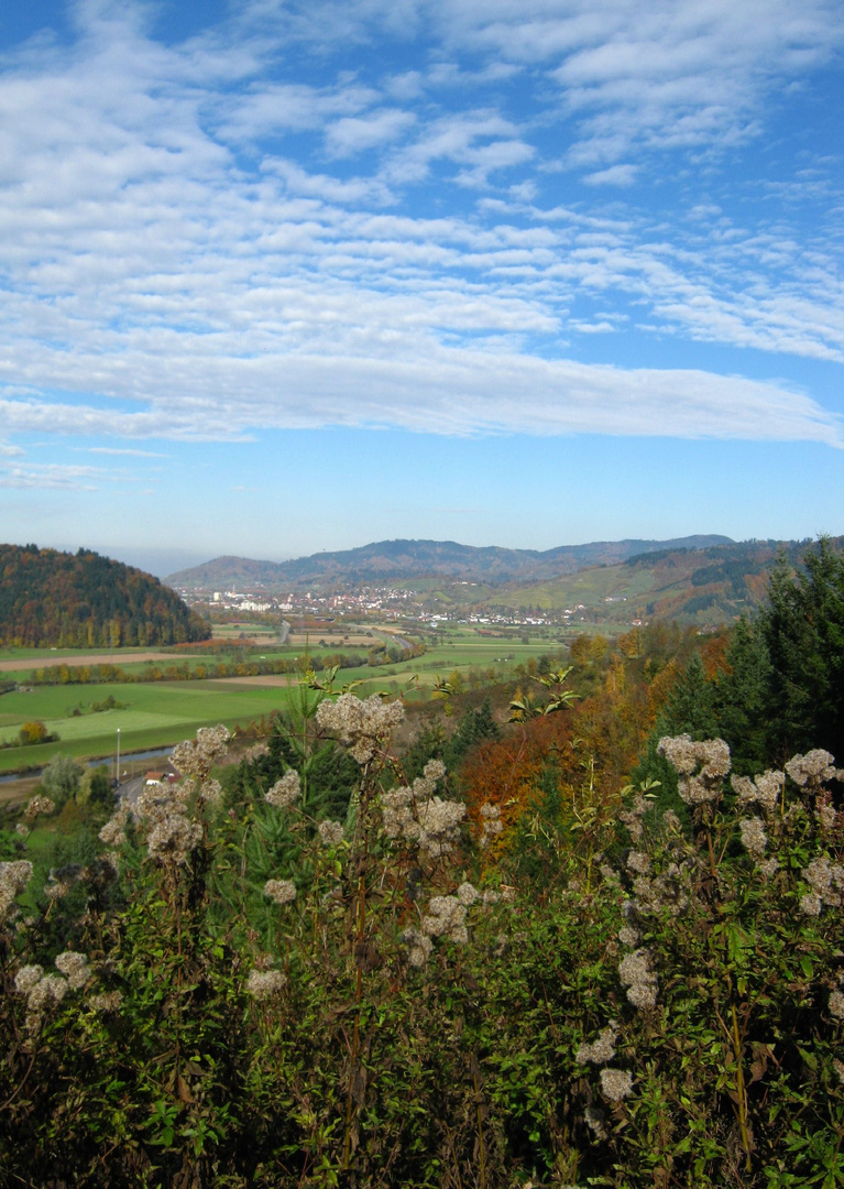 Vom Schwarzwald bis zu den Vogesen