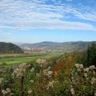 Vom Schwarzwald bis zu den Vogesen