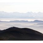 vom schwarzwald zu den alpen