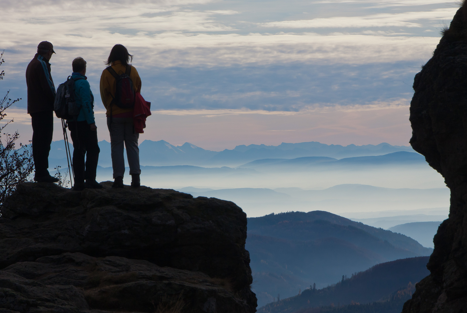 Vom Schwarzwald zu den Alpen ein "Katzensprung"...