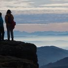 Vom Schwarzwald zu den Alpen ein "Katzensprung"...