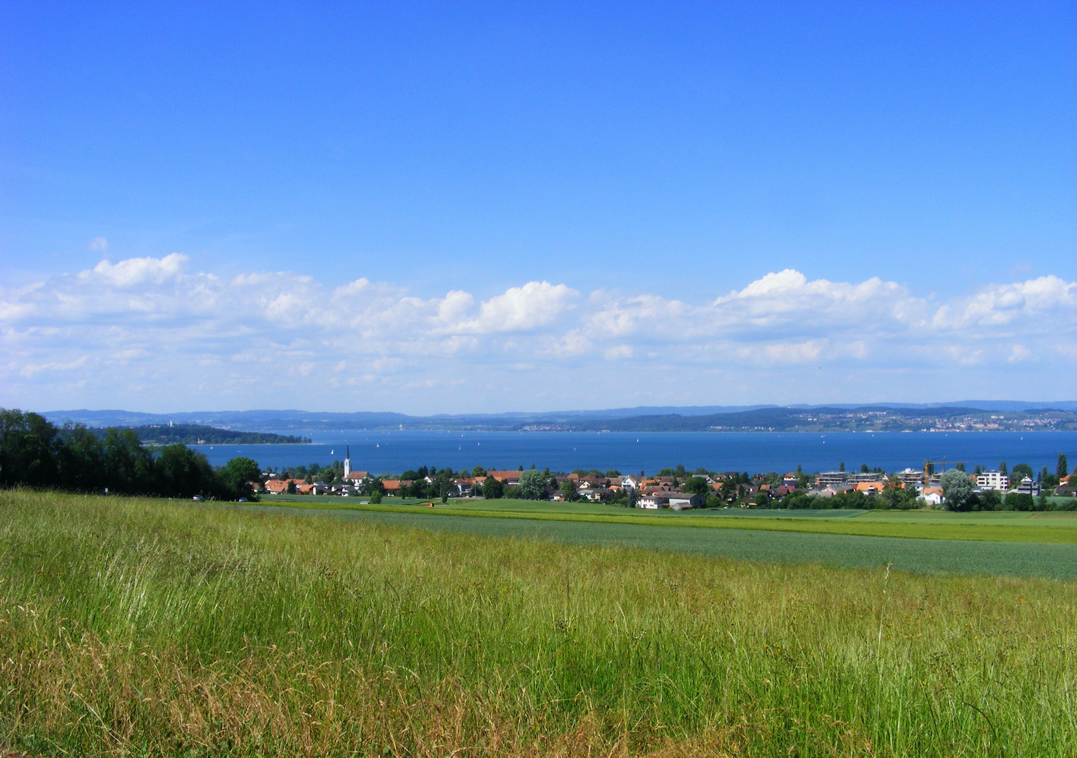 Vom Schweizer Ufer über den See geblickt...