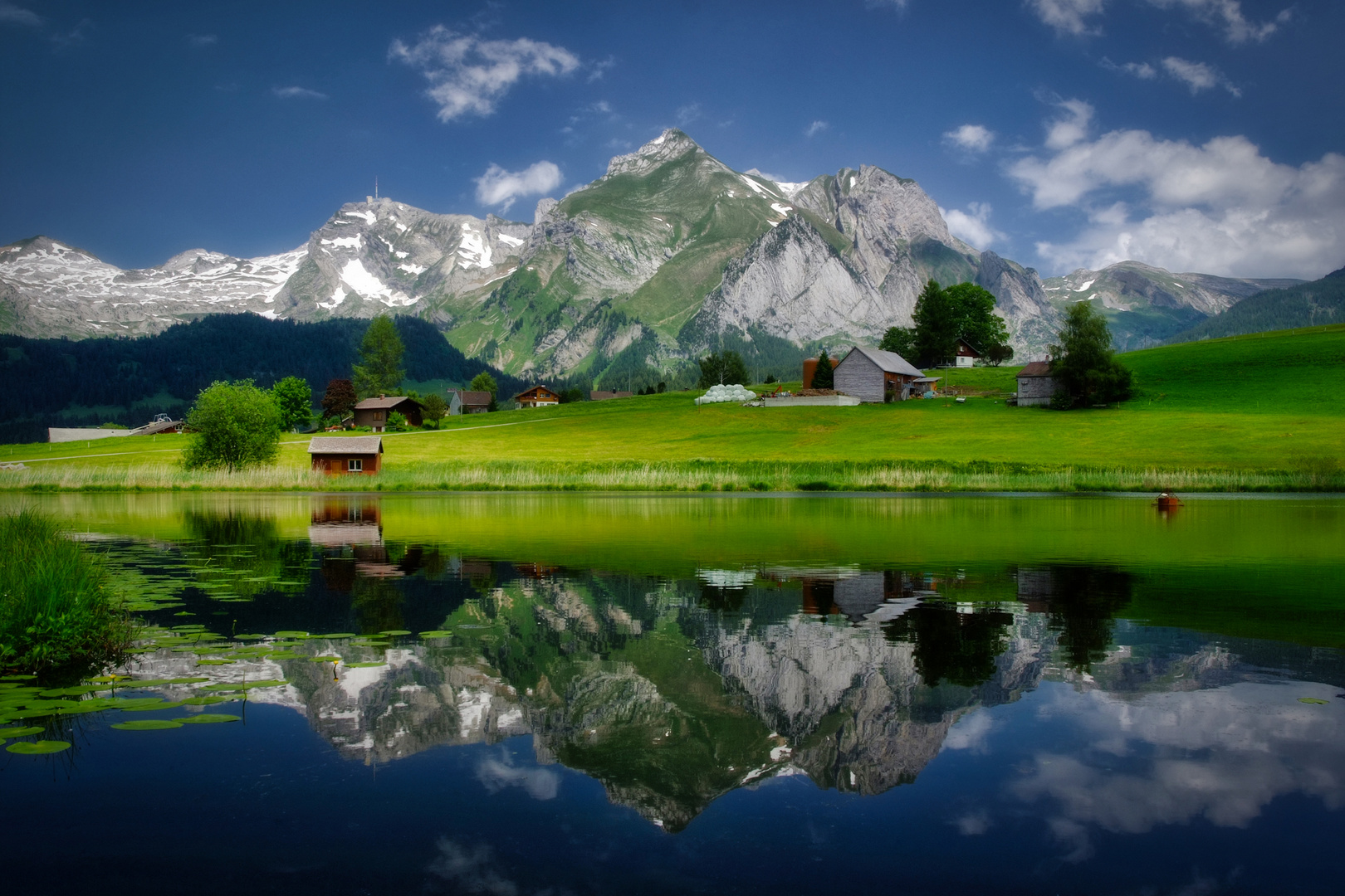 "vom Sommer in den Alpen träumen"