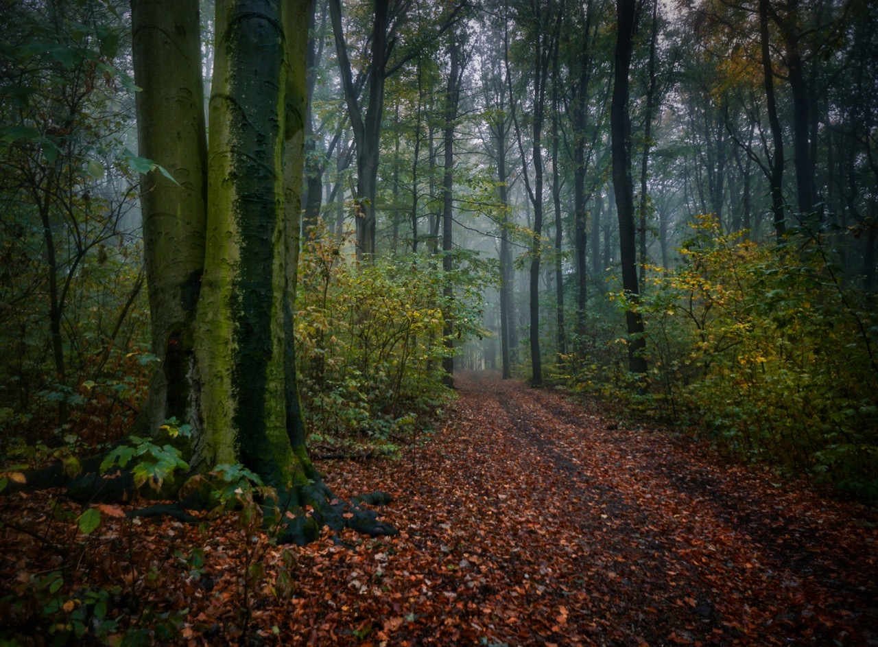 ....vom Sonntagsspaziergang