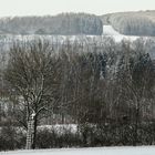 Vom Steetsberg in Niederense...