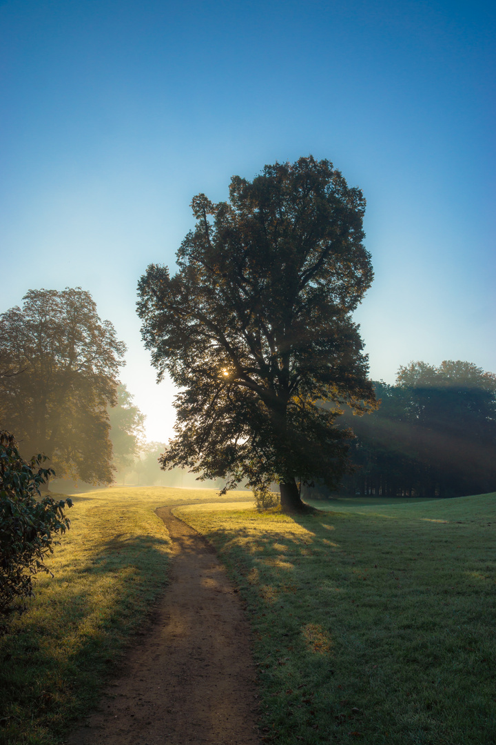 vom Sterben des Sommers