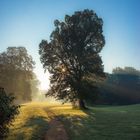 vom Sterben des Sommers