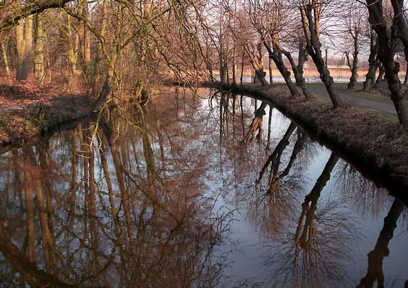 Vom Sterben und Leben