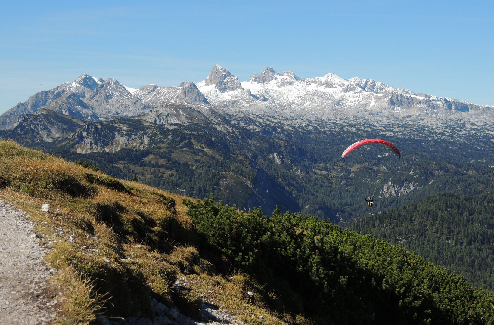 Vom Stoderzinken blickt man auf den Dachstein