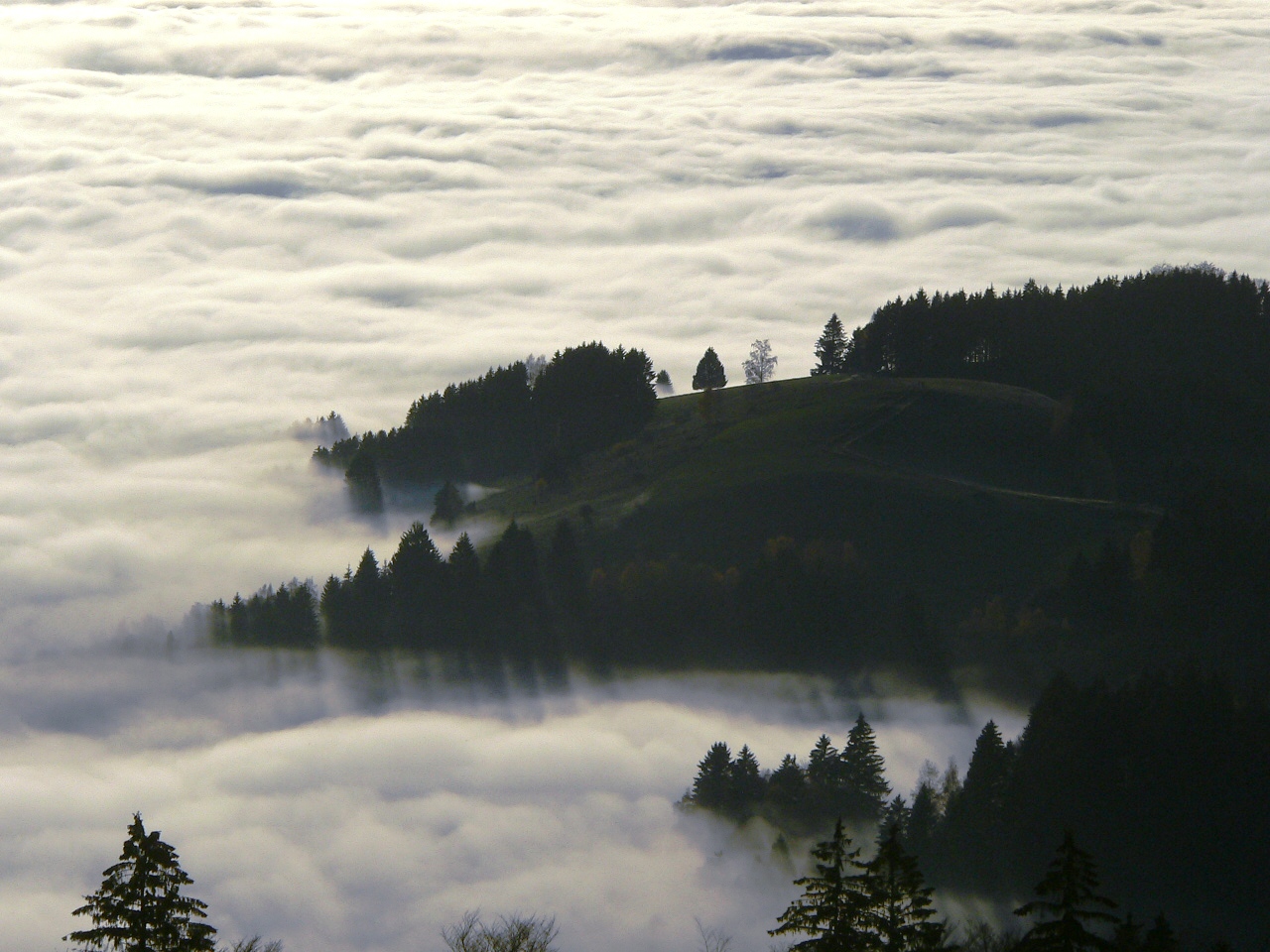 vom Stohren (Schwarzwald) hinunter zum Münstertal, heute