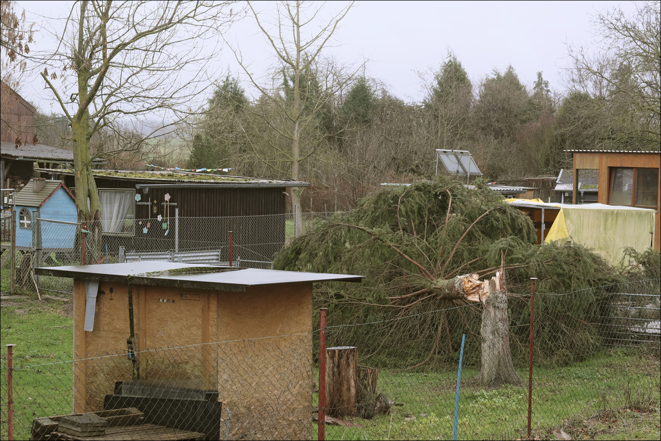 vom Sturm gefällt