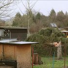 vom Sturm gefällt