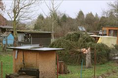 vom Sturm gefällt