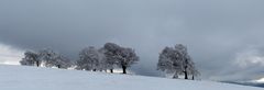 Vom Sturm geformt III