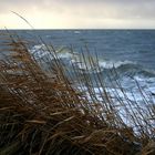 Vom Sturm gepeitscht